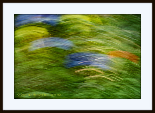 Blumenfeld (Flowers), bewusste horizontale, wellenformige horizontale Unschärfe, Verwischung, gelbgrüne Farbdominanz mit blauen und orangenen Akzenten, surreales Naturbild