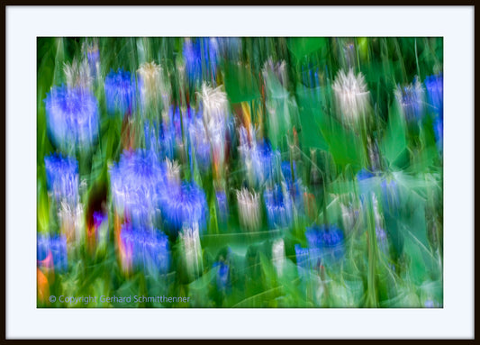 Blumenwiese, bewusste vertikale Unschärfe, Verwischung, blaugrüne Farbdominanz mit weißen und farbigen Akzenten, surreales Naturbild