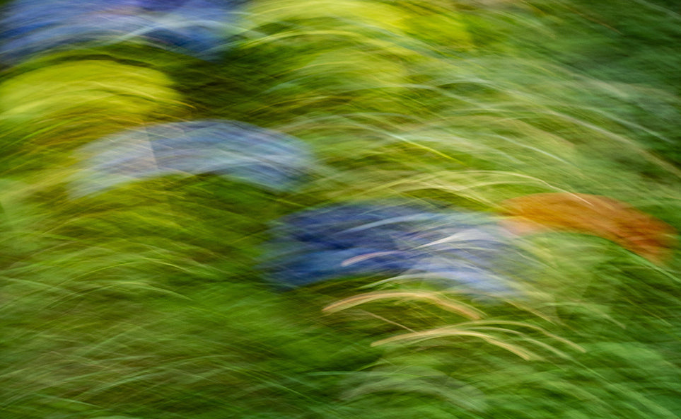 Blumenfeld (Flowers), bewusste horizontale, wellenformige horizontale Unschärfe, Verwischung, gelbgrüne Farbdominanz mit blauen und orangenen Akzenten, surreales Naturbild